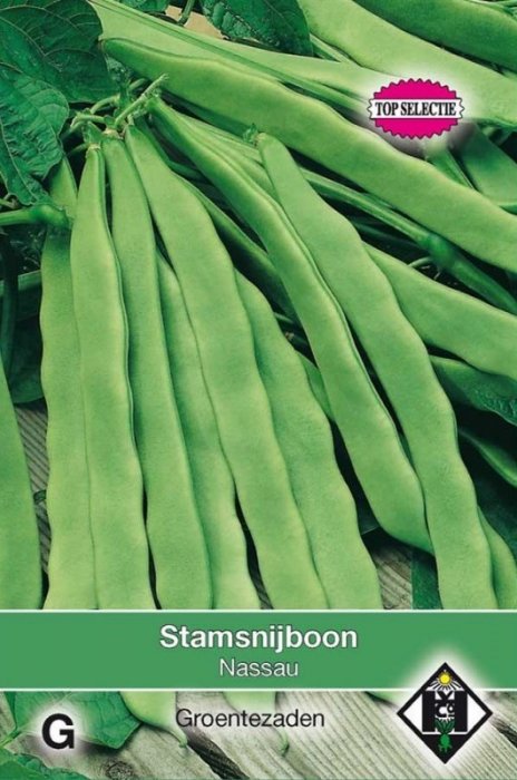 Stamsnijboon -Sperzieboon