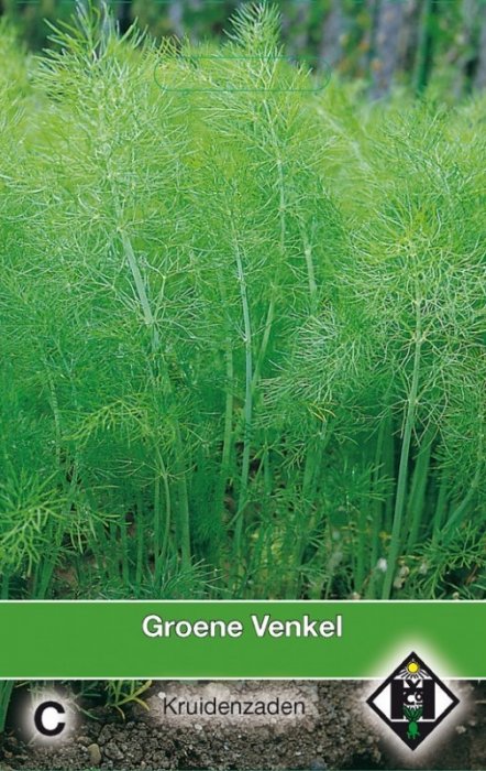 Groene venkel