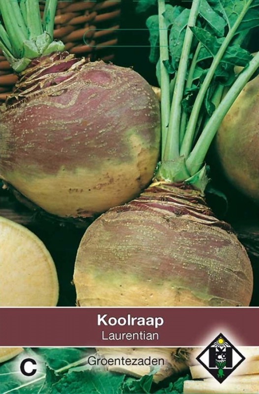 Koolraap