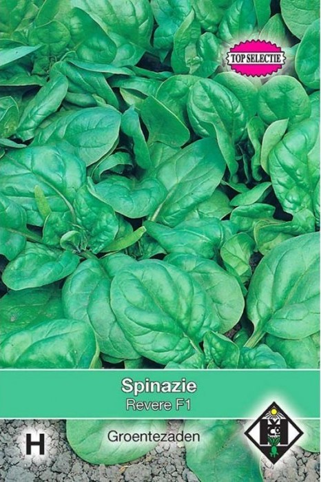 Spinazie