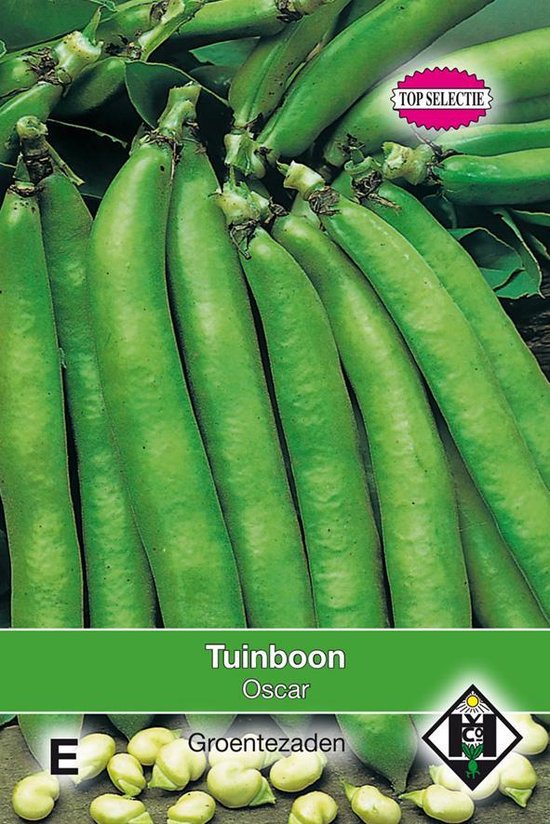 Tuinboon
