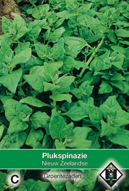 Nieuw-Zeelandse Plukspinazie
