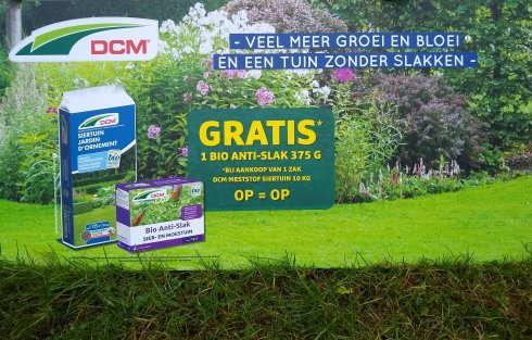 DCM actie