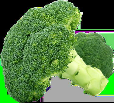 BIO Broccoli