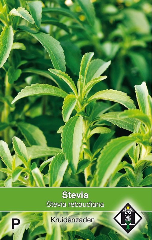 Suikerplantje (Stevia)