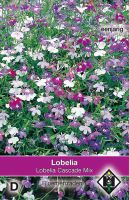 Lobelia Cascade Mix