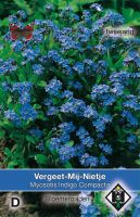 Myosotis Indigo Compacta