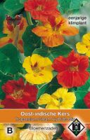 Tropaeolum Gleam Hybrids Mix