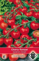 Cherry tomaat