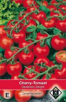 Cherry tomaat