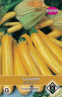 Courgette