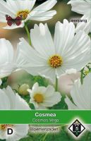 Cosmea bipinnatus Vega